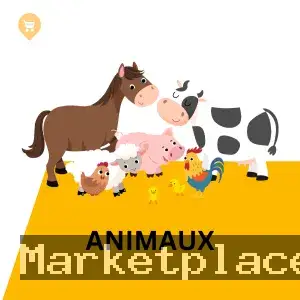 Rahba Tunisie Terrain Residentiel A Vendre Sousse