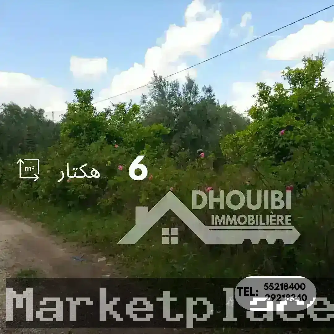 Rahba Tunisie Annonce Tunisie Immobilier