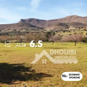 6.5 hectar Terrain Agricole a Vendre a Kairouan