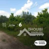 سانية 6 هكتارات للبيع بالقيروان – ferme 6 hectar a vendre a kairouan