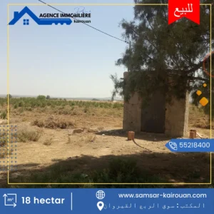 Vente d’une Terre Agricole 18 hectar a kairouan