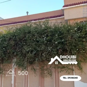 Villa de luxe de 500 m a vendre a Mansoura kairouan