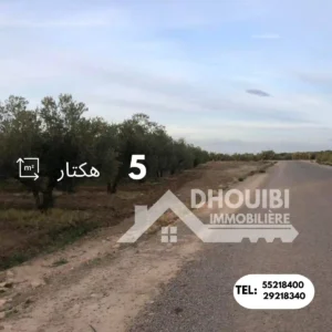 Terrain Agricole a Vendre - Hammad-Kairouan