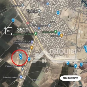 أرض للبيع على طريق رقادة - القيروان Terrain à vendre sur la route de Regada