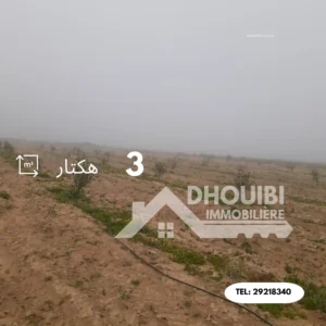 3 hectar Terrain agricole a vendre a Kairouan