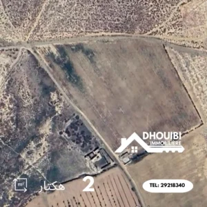 Terrain agricole 2 hectares a vendre a kairouan