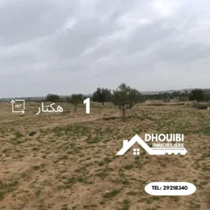 Terrain Agricole a vendre Sbikha kairouan