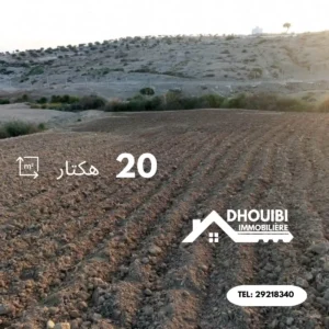 Terrain Agricole 20 Hectares à Vendre a kairouan