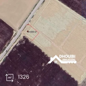 Terrain d'investissement stratégique Mansoura - Raggada