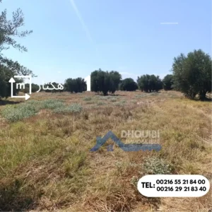 1 hectar a vendre kairouan