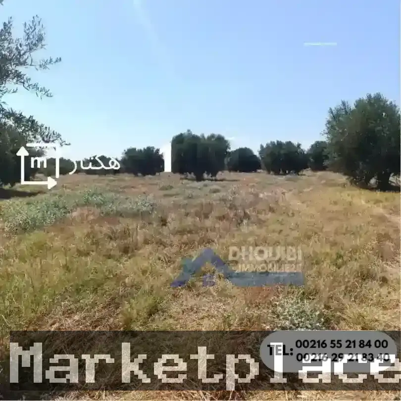 Rahba Tunisie Annonce Tunisie Immobilier