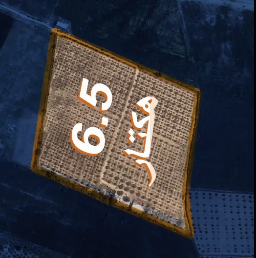 سانية6.5 هكتار للبيع