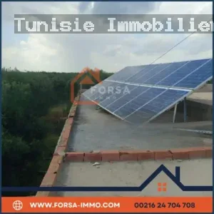 Rahba Tunisie Ferme 6 hectar a vendre a kairouan Consultant Immobilier Tunisie