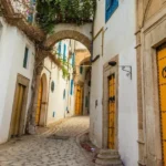 Pourquoi investir dans l’immobilier en Tunisie ?