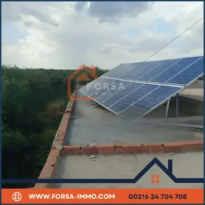 Ferme 6 hectar a vendre a kairouan