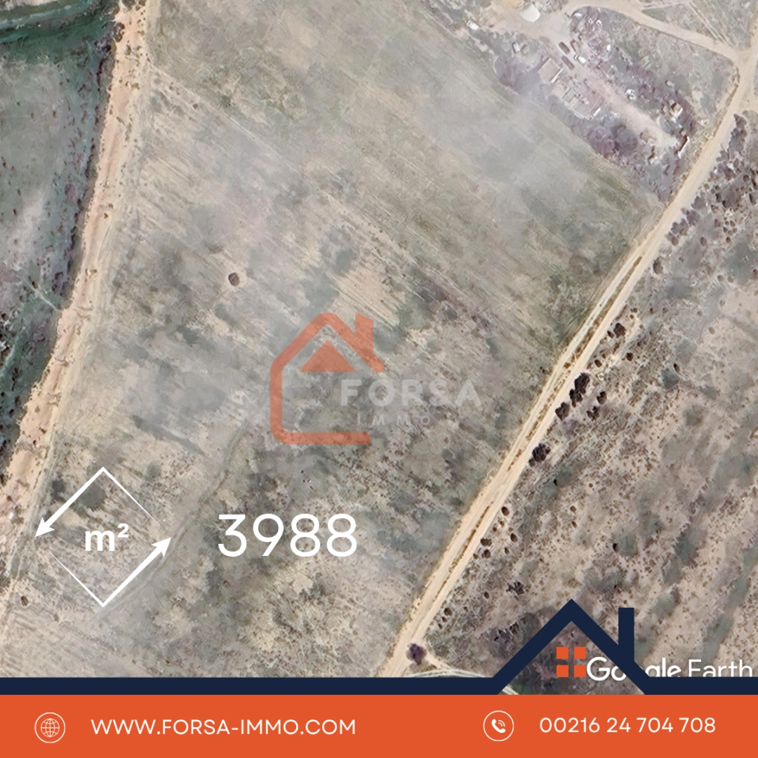 3988 metre – titre individuel - 1