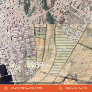 3988 metre – titre individuel