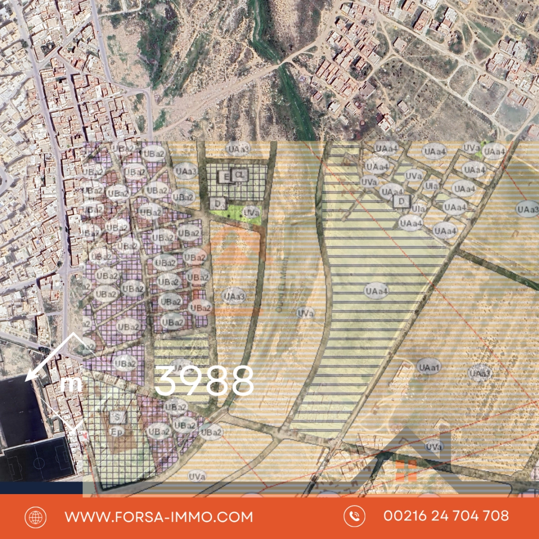 3988 metre – titre individuel