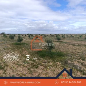 3 هكتارات الغابات