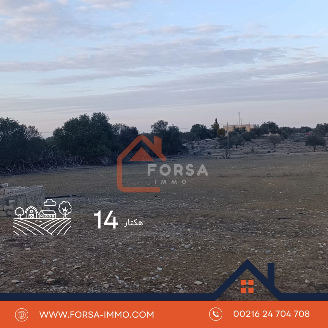 14 hectar terrain agricole - 1