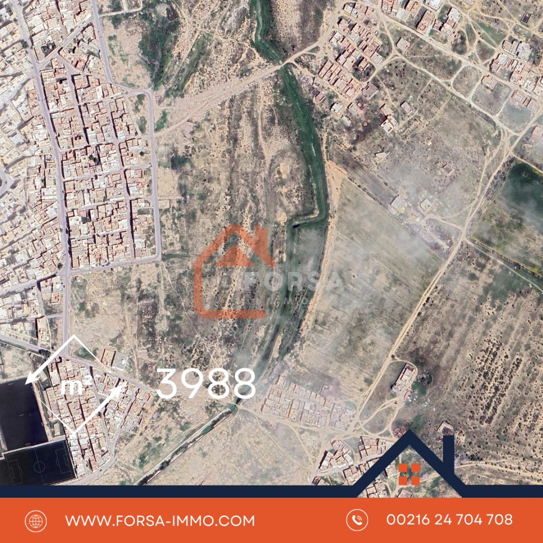 3988 metre – titre individuel - 2