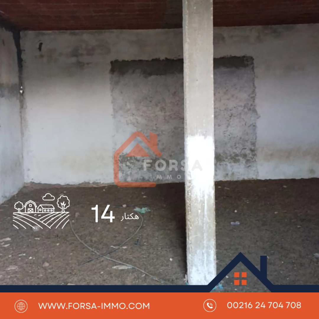 14 hectar terrain agricole - 2