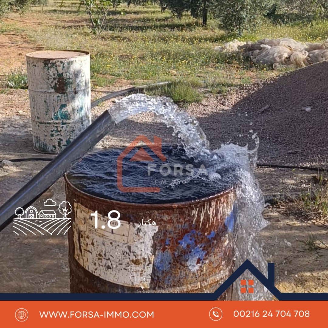 هكتار و 900 متر الهداية الحاجب - 1