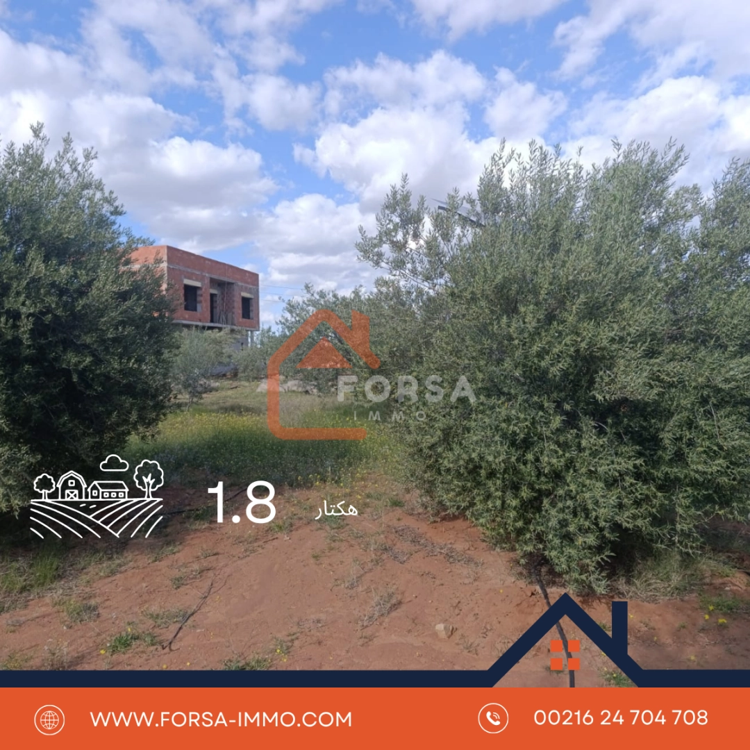 هكتار و 900 متر الهداية الحاجب - 2