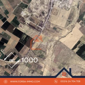 1000 metre – ragada