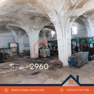 معصرة زيتون للبيع بالقيروان الذراع