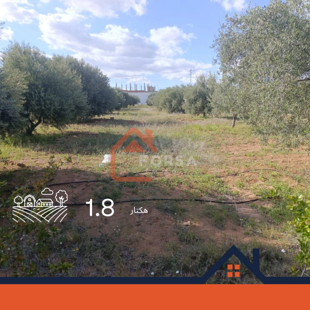 هكتار و 900 متر الهداية الحاجب